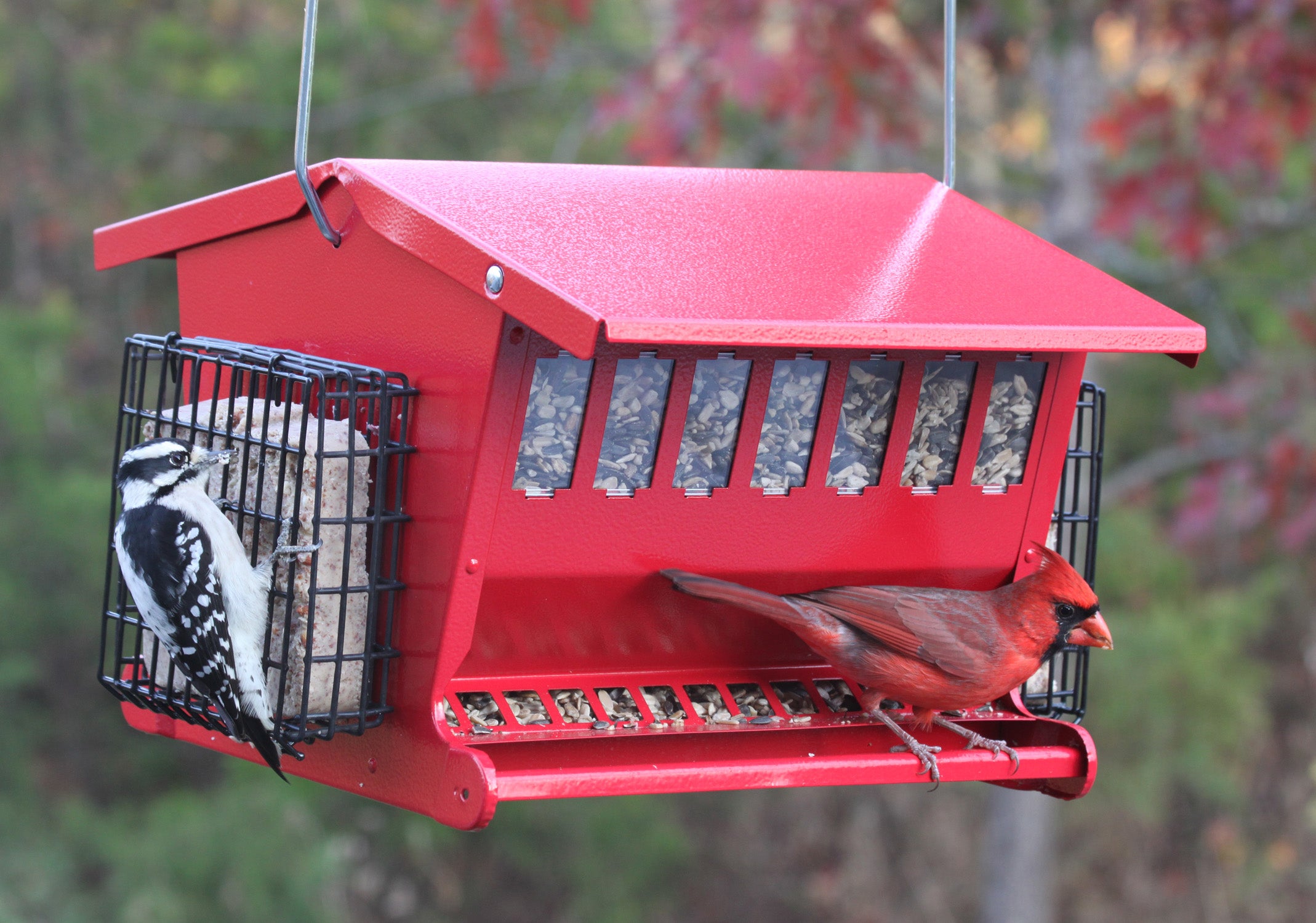 Audubon Seeds n More Metal Hopper Bird Feeder Model 7452R