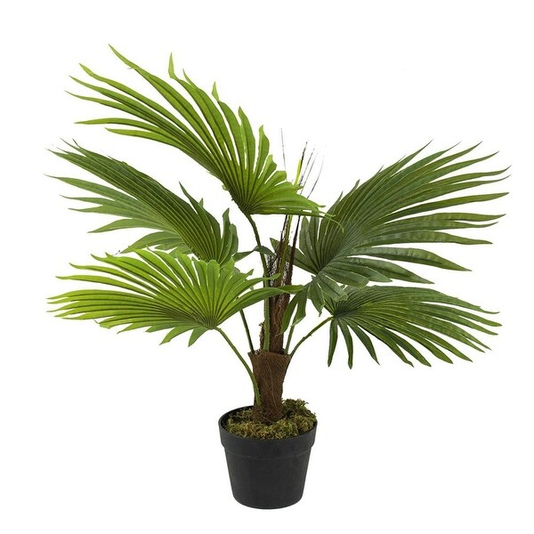 AandB Home Fan Palm Tree in Pot