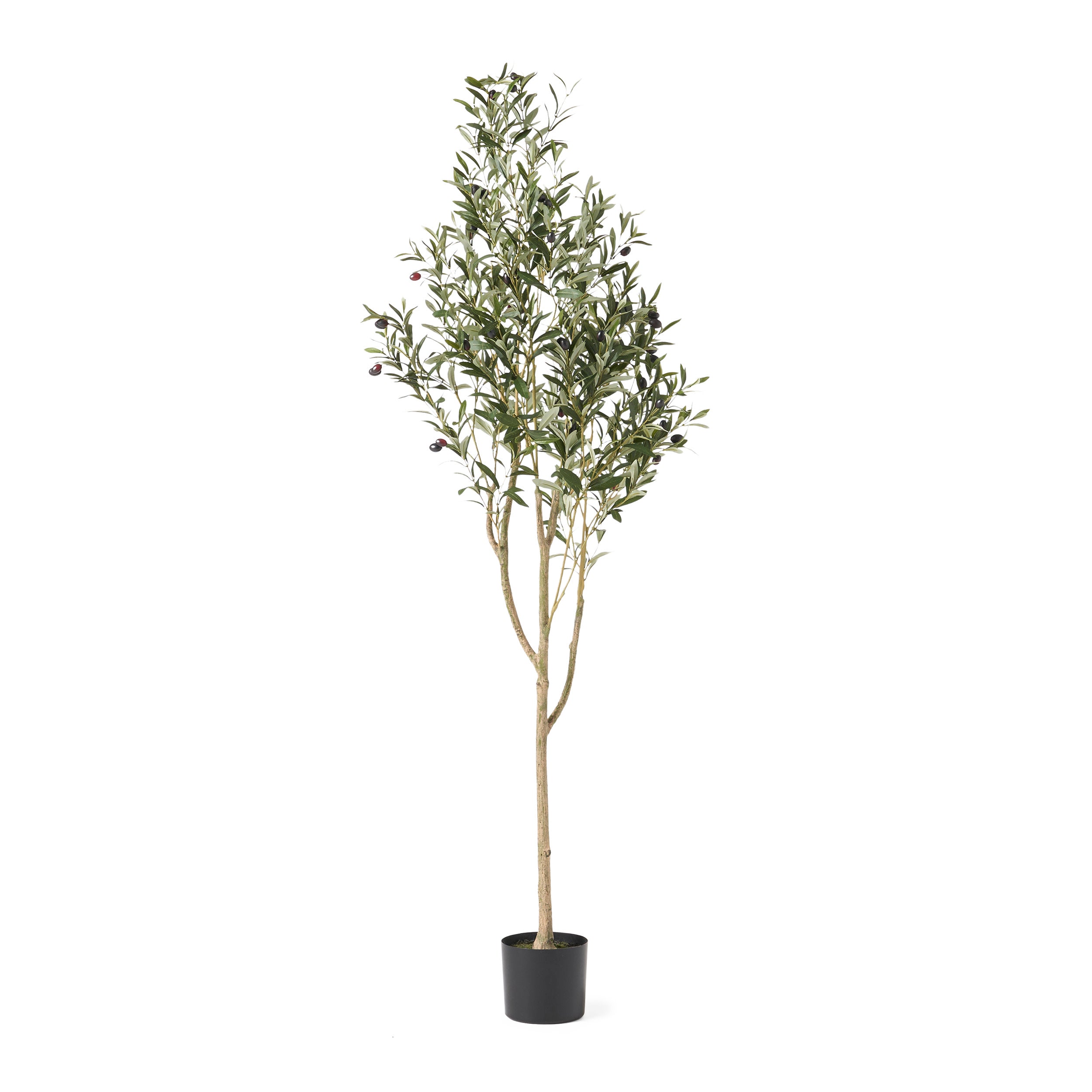 Atoka Artificial Olive Tree