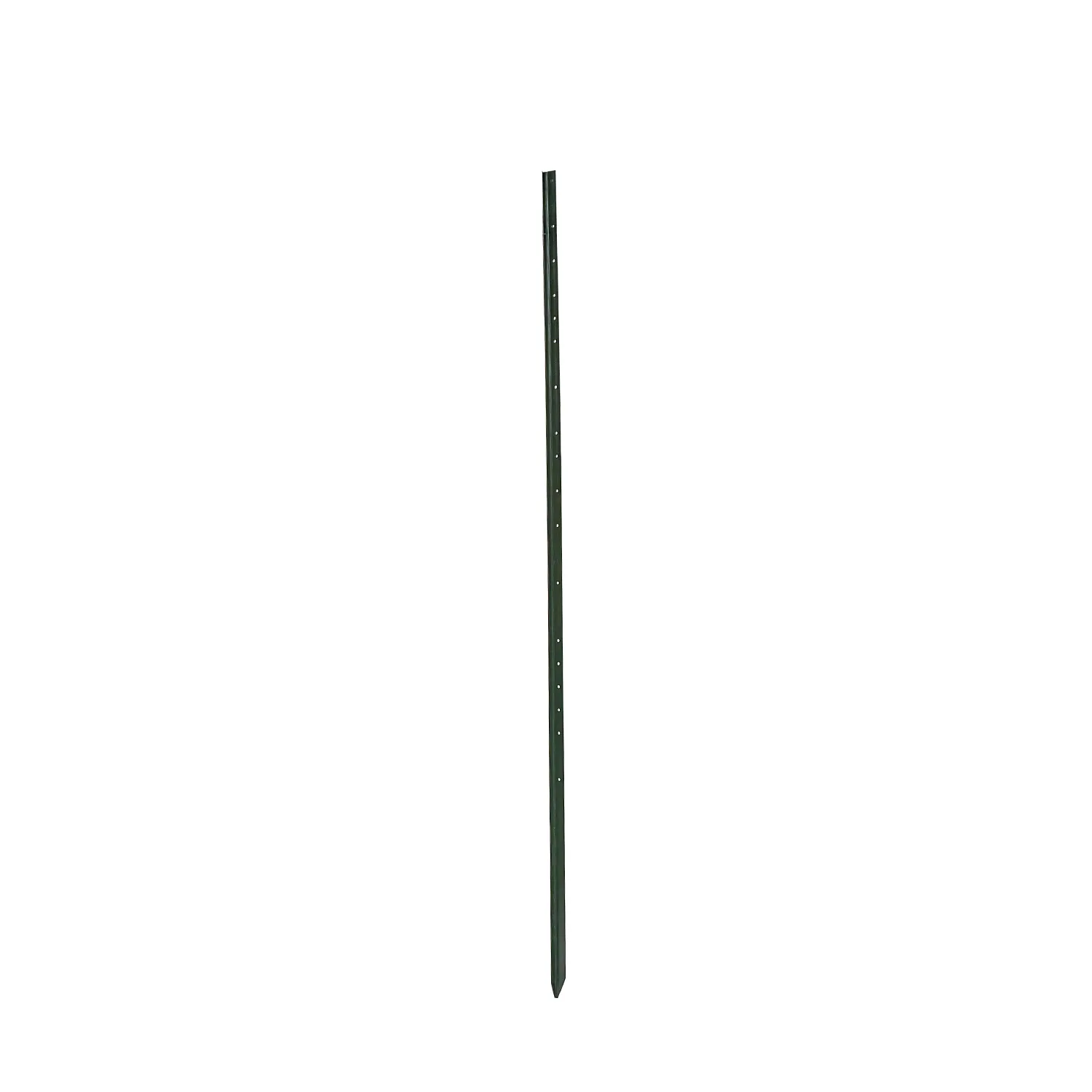 Green 10 ft metal t post for garden