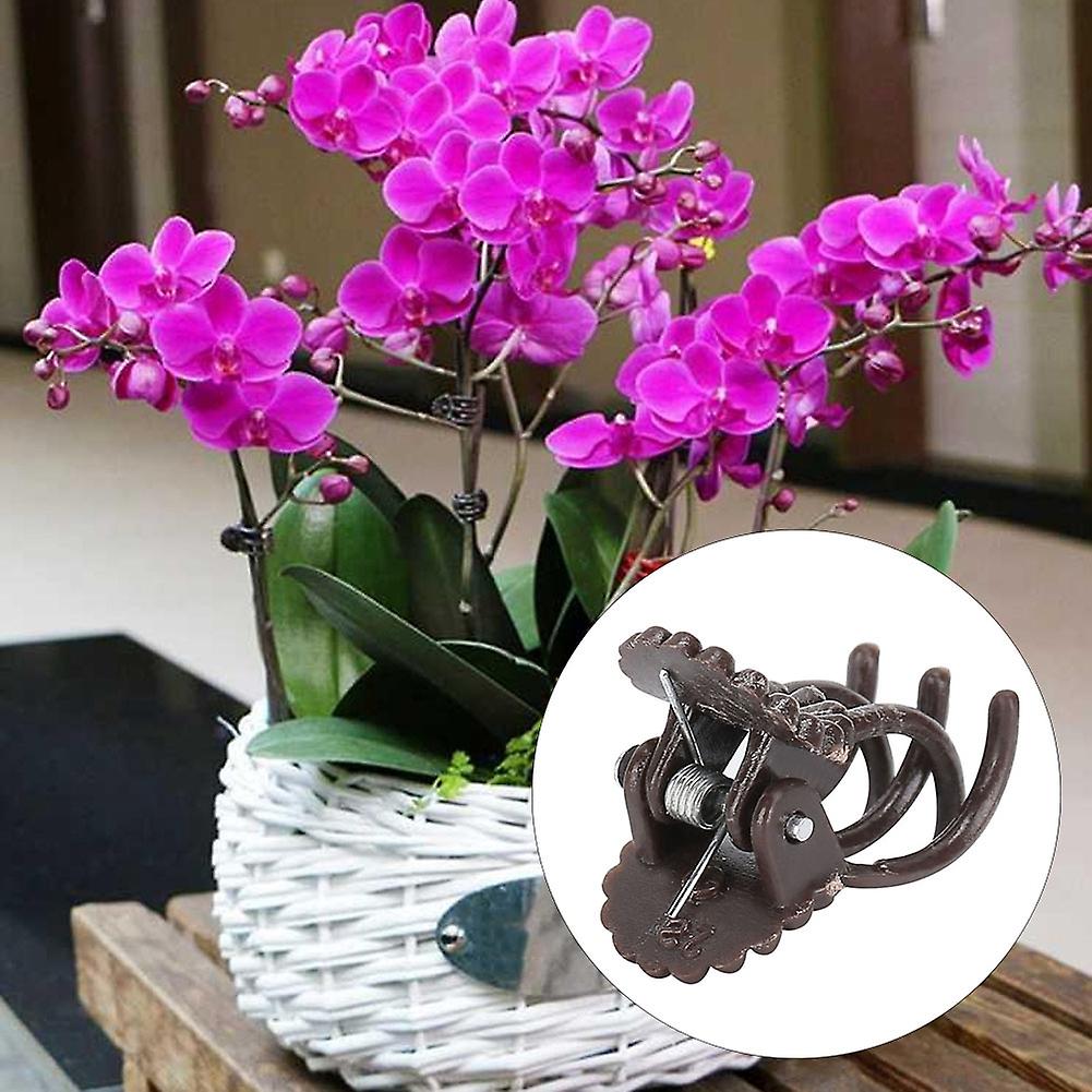 200pcs Flower Shaped Plant Clip Orchid Stems Fixing Support Clips Garden Tool Accessoriesbrown