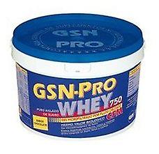 GSN Pro Whey Vanilla 750gr