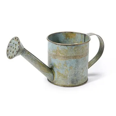 Rustic Finished Iron Watering Can for Plant Engineering Manufacturer Custom Handmade Iron Metal Plant Watering Can