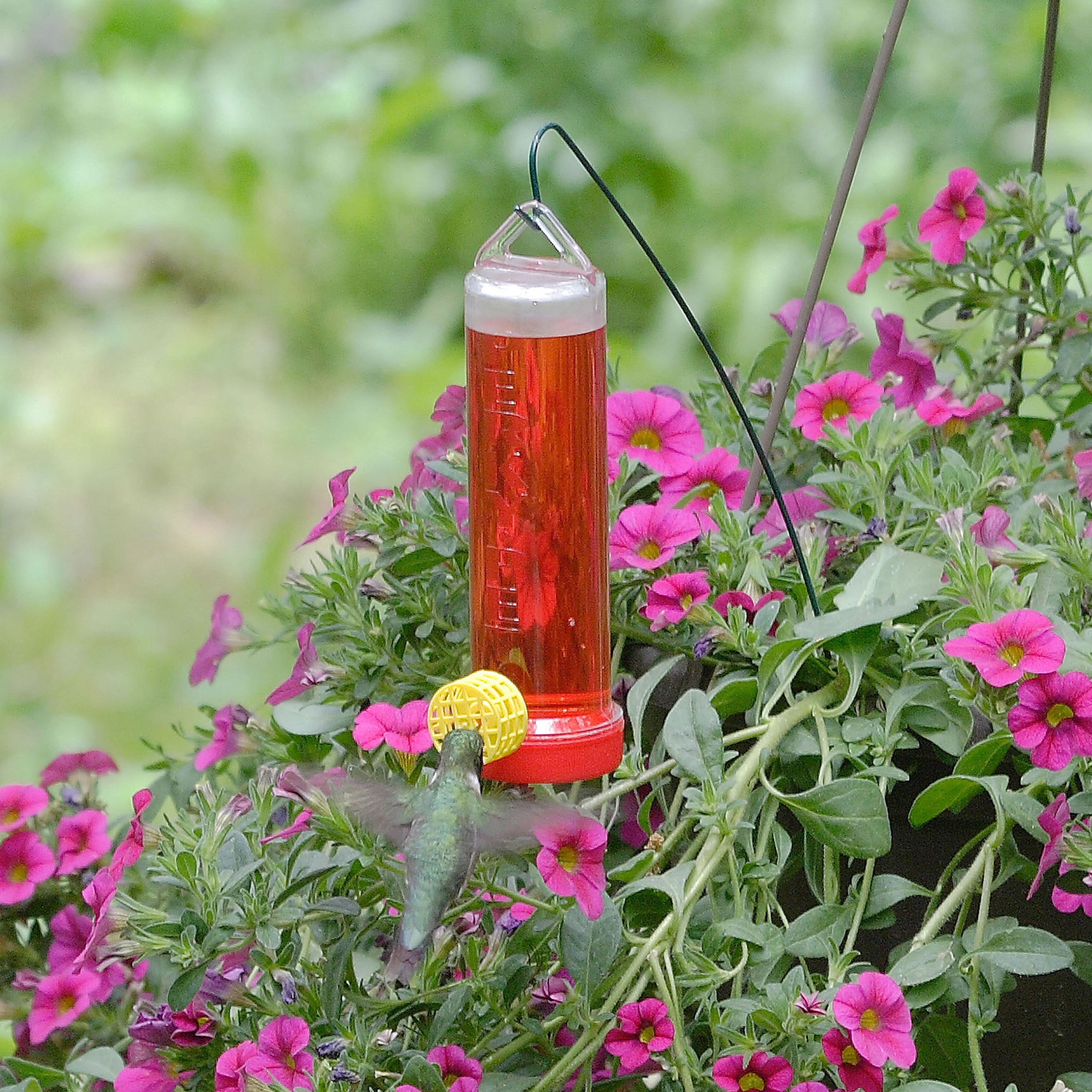 Perky-Pet Planter Box 3 oz Plastic Hummingbird Feeder with Hanging Rod