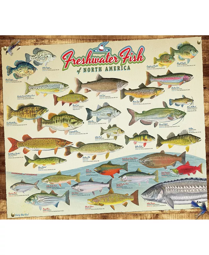 Cobble Hill Freshwater Fish of North America Puzzle