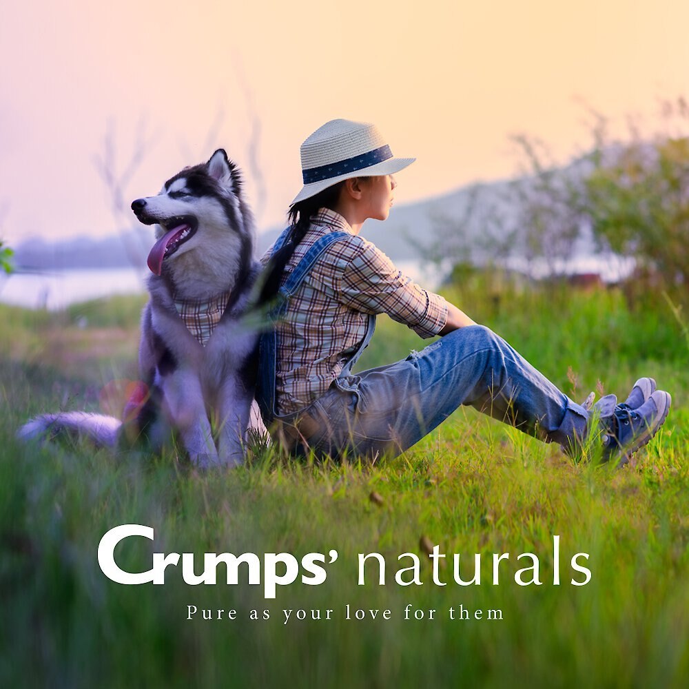 Crumps' Naturals Traditional Liver Fillets Grain-Free Dog Treats