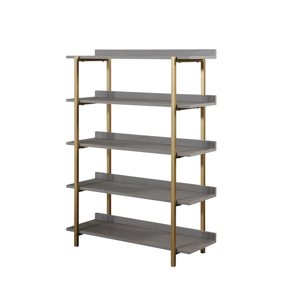 Bizi Contemporary Metal 5 Tier Display Shelf by Furniture of America