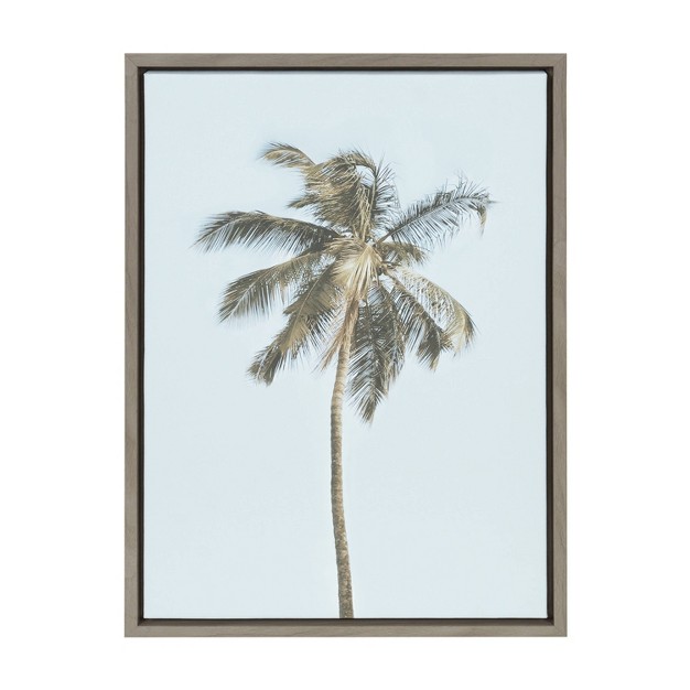 X 24 quot Sylvie One Coconut Palm Tree By The Creative Bunch Studio Framed Wall Canvas Gray Kate amp Laurel All Things Decor