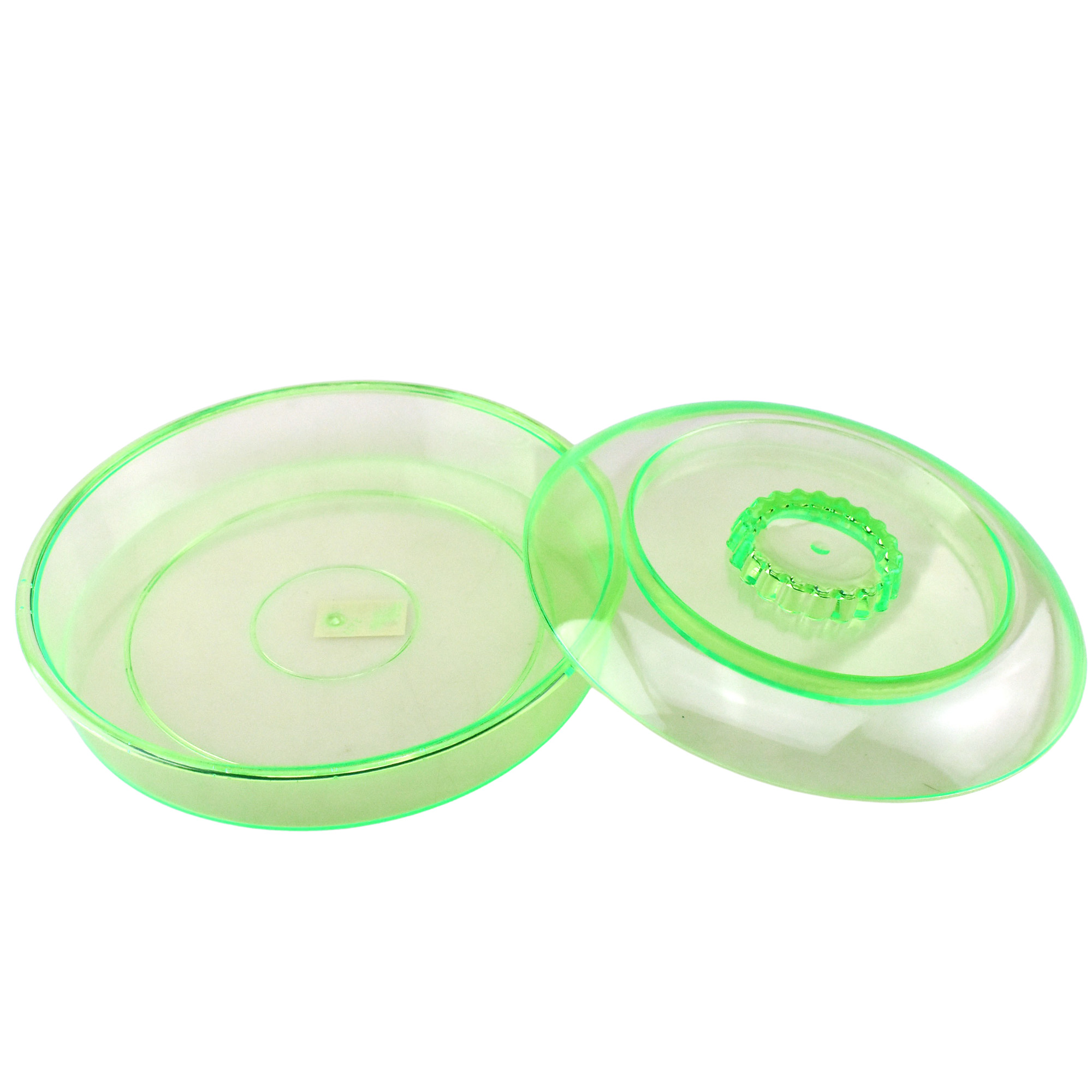 Clear Acrylic Tortilla Warmer Container， 7-3/4-Inch - Apple Green