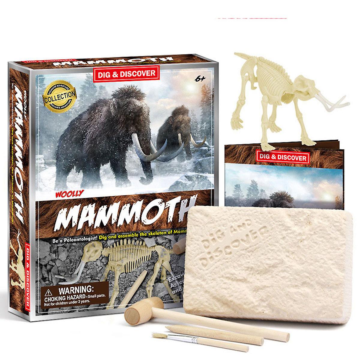 Mammoth Fossil Dig Archaeological Excavation Kit ，educational Science Kit Learning Toys For Kids