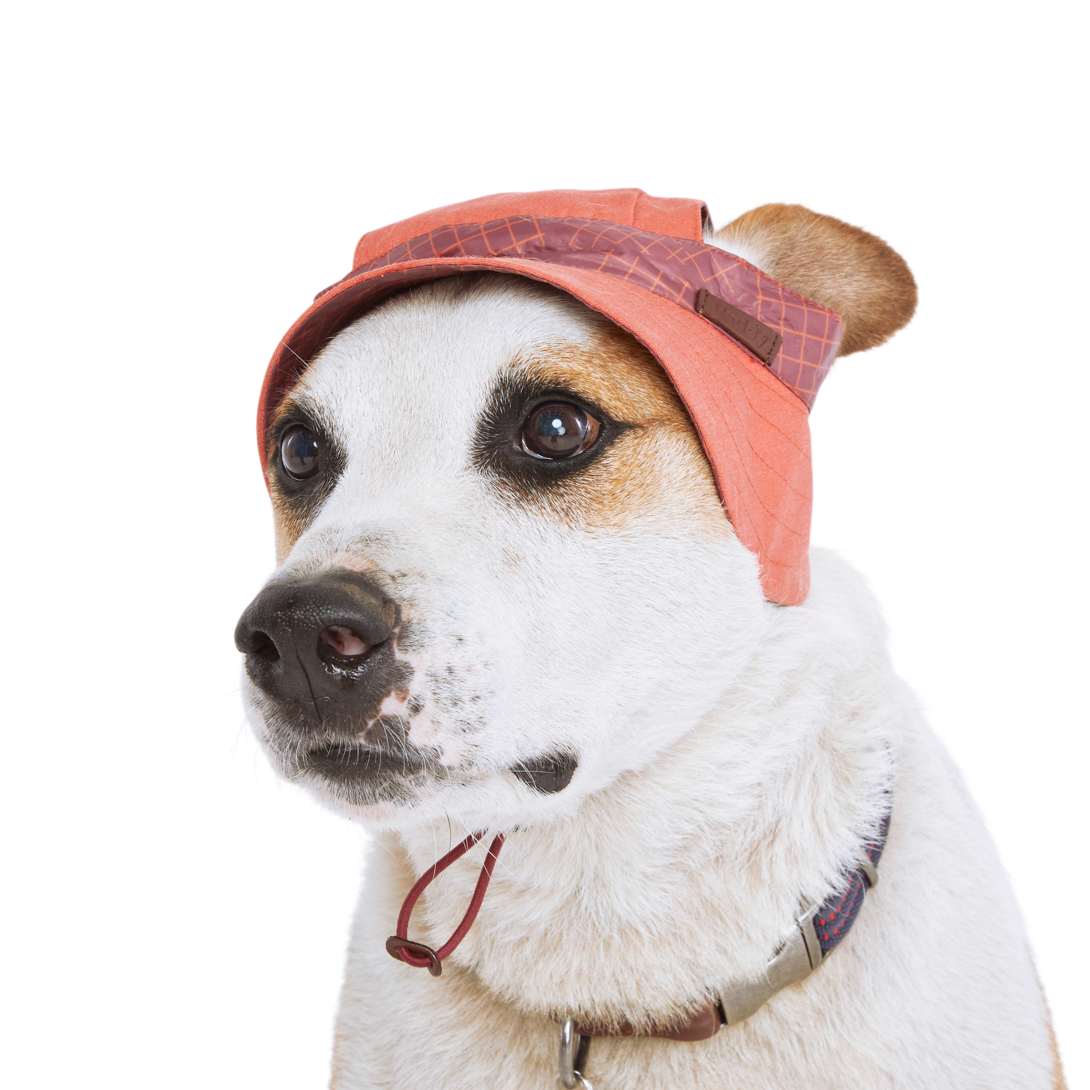 Reddy Orange Bucket Dog Hat， X-Small/Small