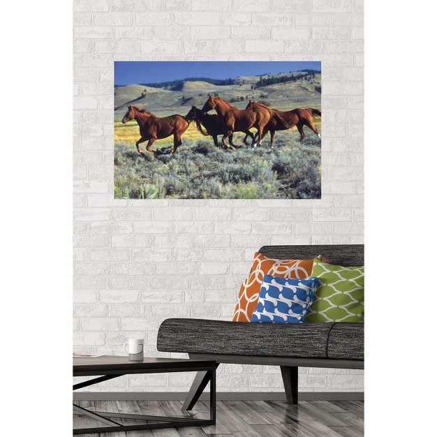 Trends International Animals Horses Running On The Planes Unframed Wall Poster Prints