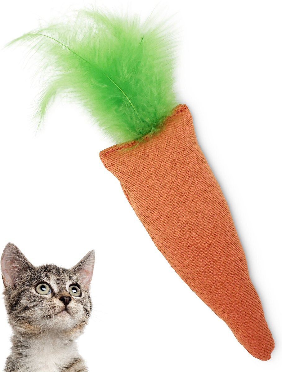 OurPets Catnip 24 Karat Cat Toy