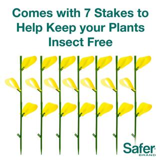 Safer Brand Houseplant Sticky Stakes Insect Traps (7-Count) 5026