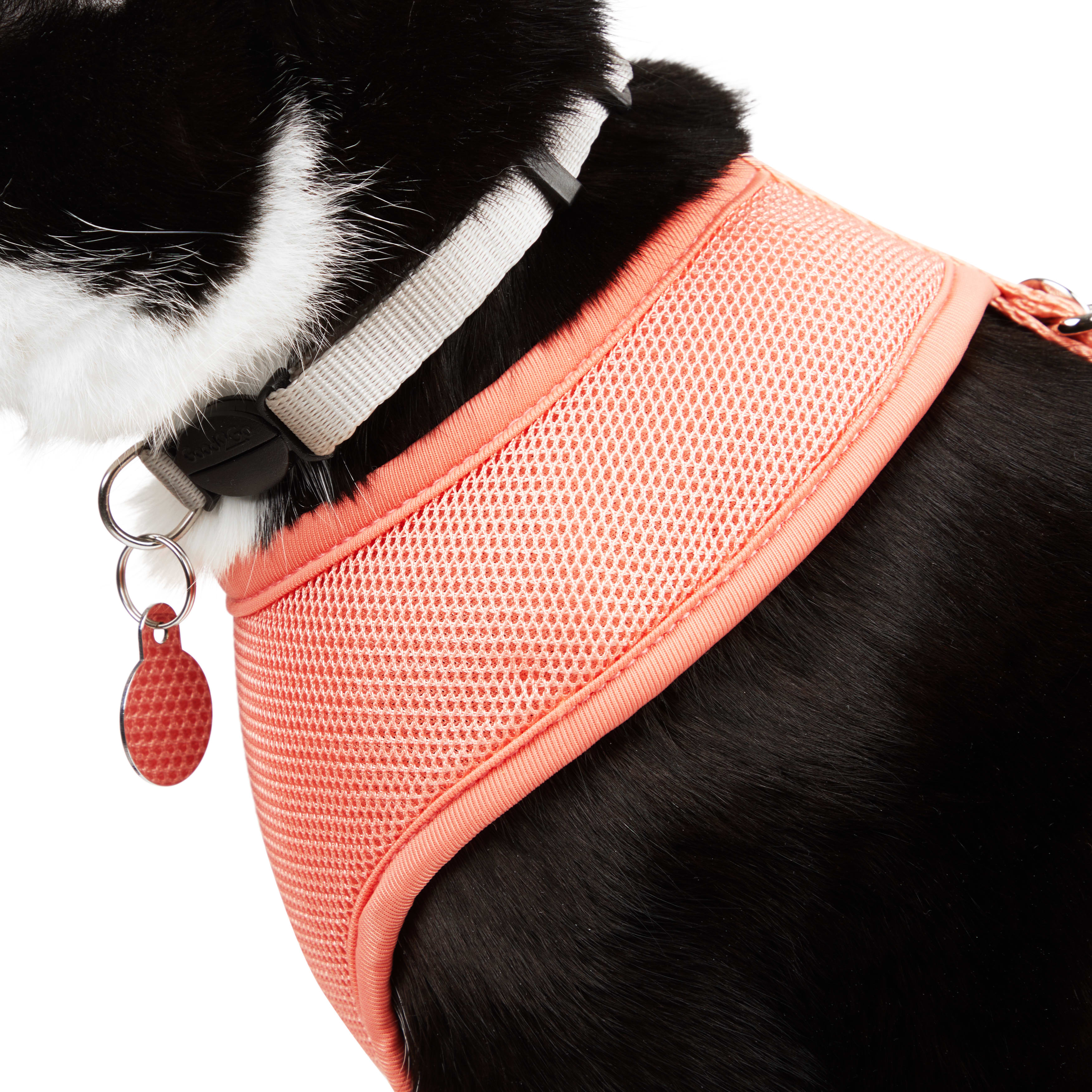 YOULY Coral Mesh Cat Harness Set， Large/X-Large