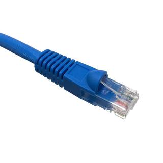 Micro Connectors Inc 50 ft. CAT6A 10GB UTP Network Patch Cable Blue E09-050BL