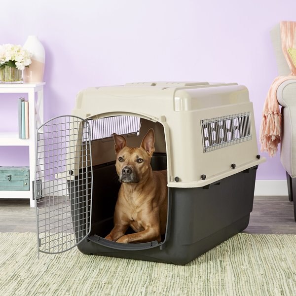 Petmate Ultra Vari Dog and Cat Kennel， Taupe/Black