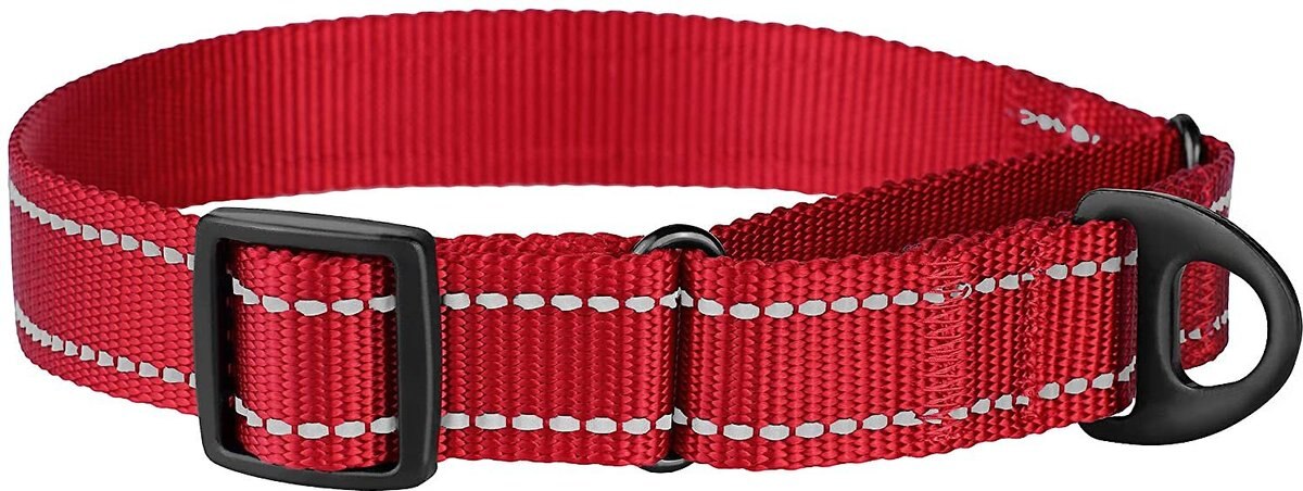 CollarDirect Reflective Martingale Nylon Dog Collar