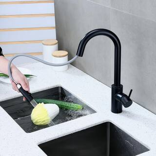 LUXIER Single-Handle Pull-Down Sprayer Kitchen Faucet with 2-Function Sprayhead in Matte Black KTS21-TM