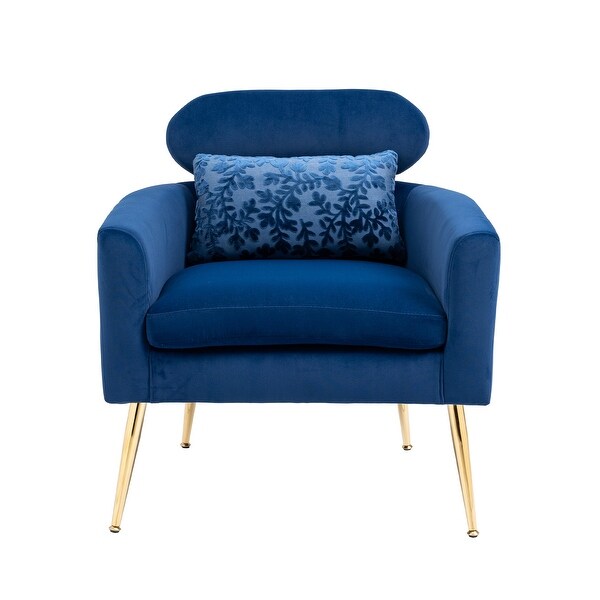 Velvet Upholstered Accent Chair With A Pillow