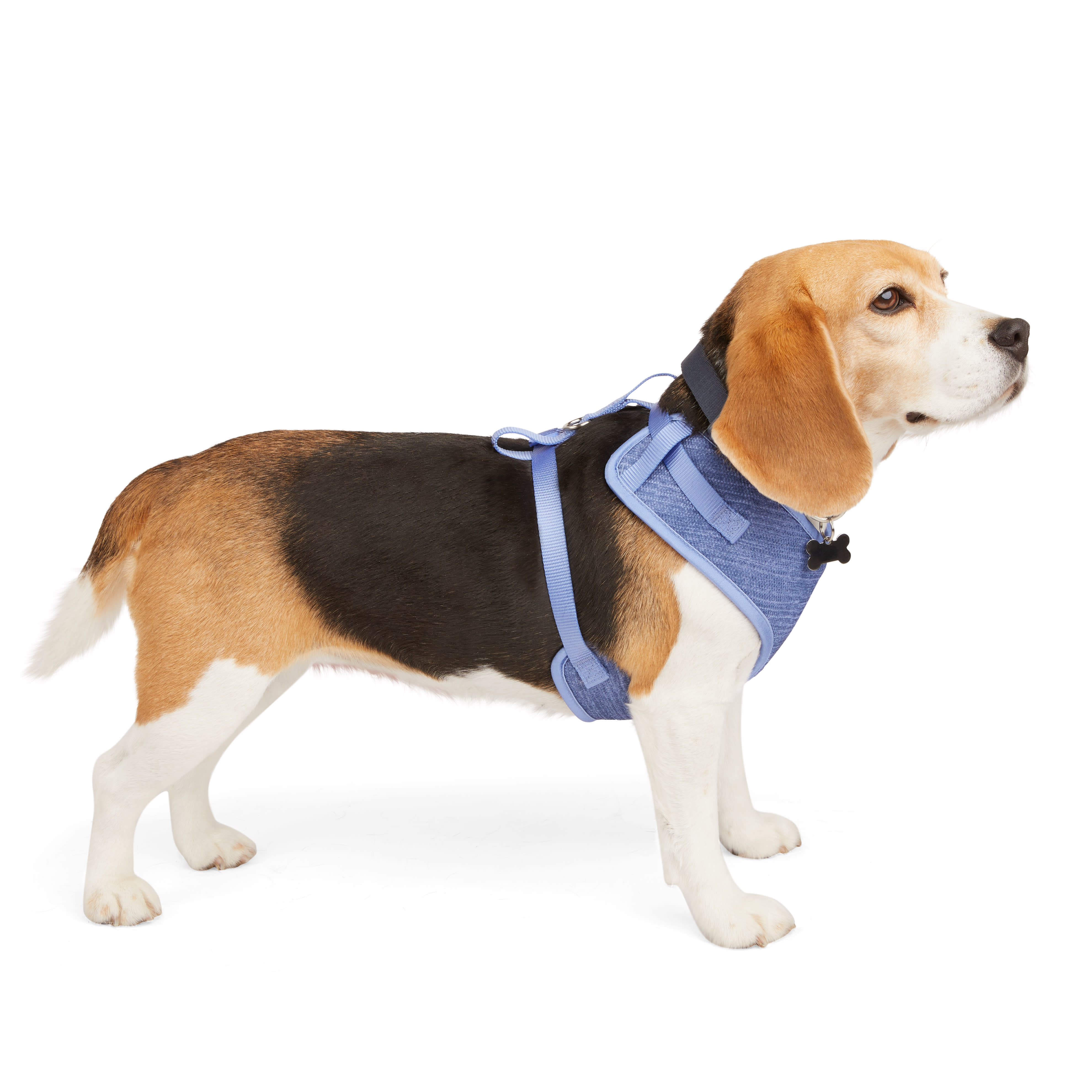 EveryYay Purple Heather Pullover Dog Harness， X-Small