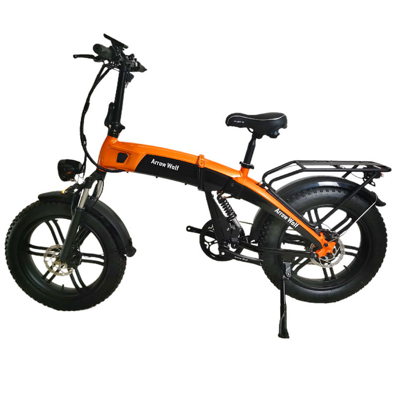 CQHZJ High Quality 750W Mountain Beach Bike 20 4 Tire Cycling Snow Ebike For Adults Cycling E  BIKE