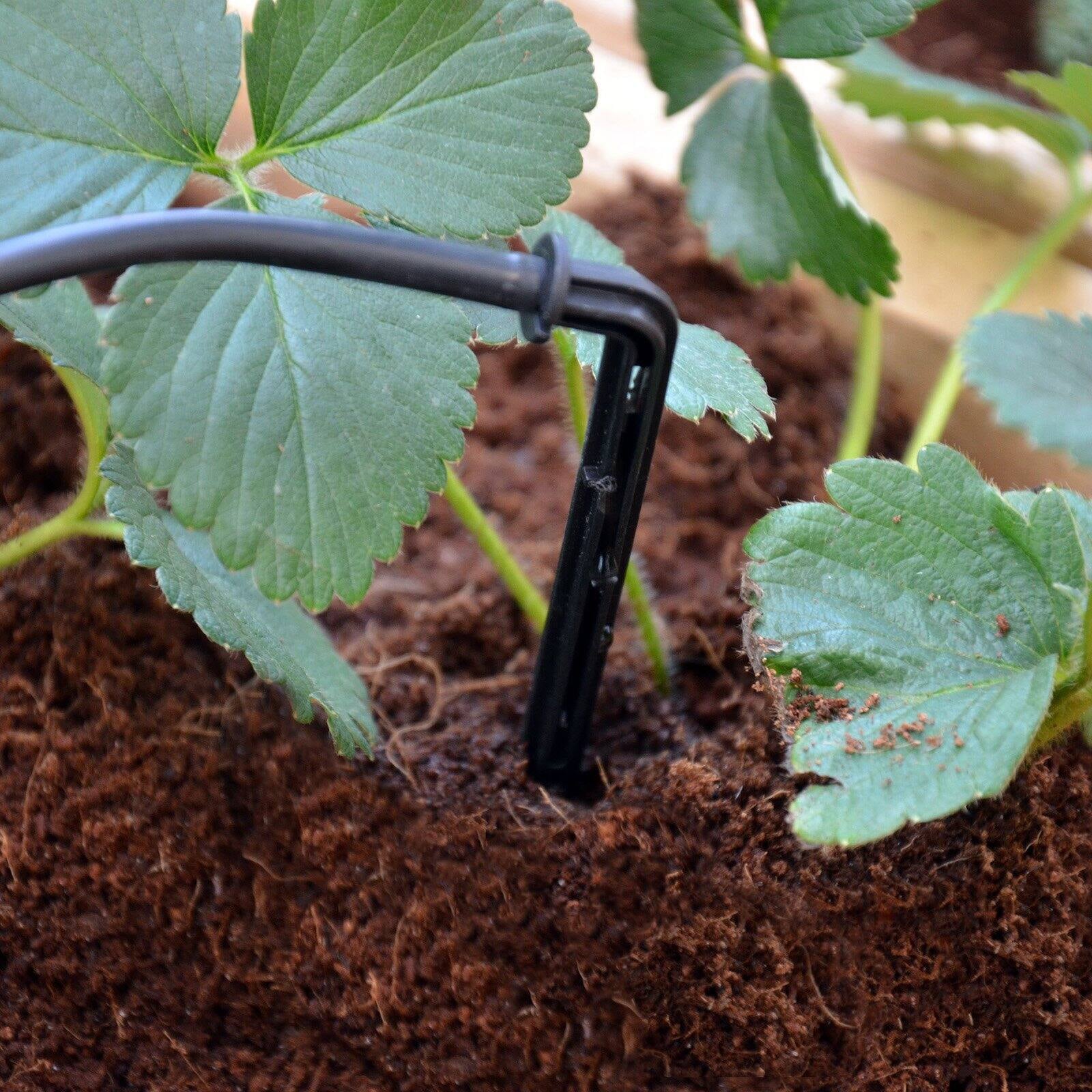 Palram - Canopia Drip Irrigation Kit