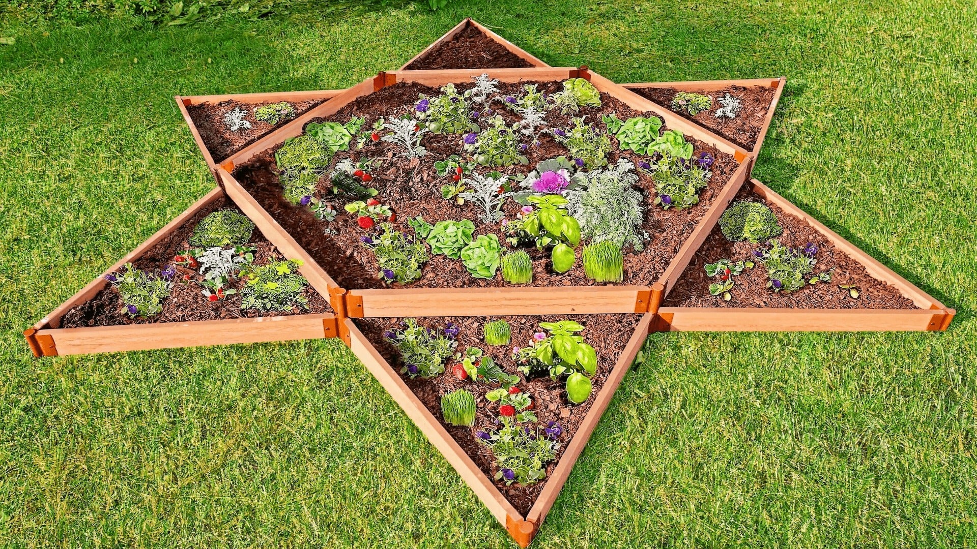 'Garden Star' - 12’ x 12’ x 11” Terrace Garden Raised Bed (Double Tier)