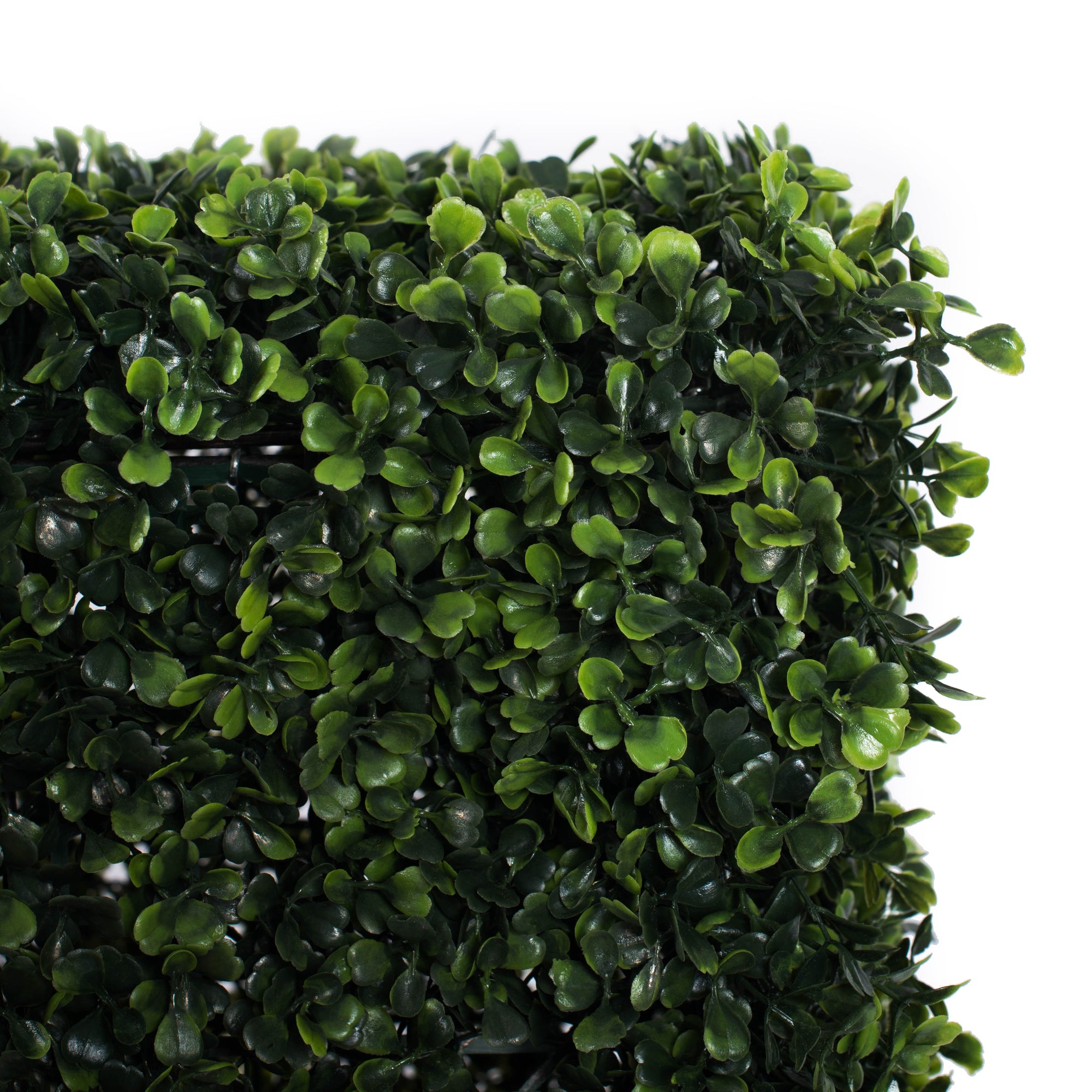 Vickerman Everyday Artificial Boxwood Hedge 48