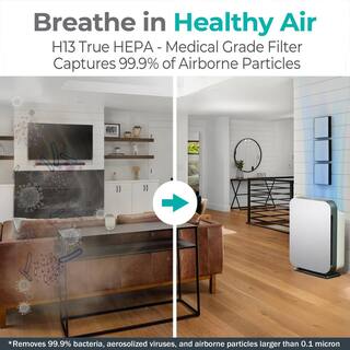 Alen BreatheSmart FIT50 Air Purifier with Pure True HEPA Filter for Allergens Dust Mold and Germs - 900 SqFt Fit50