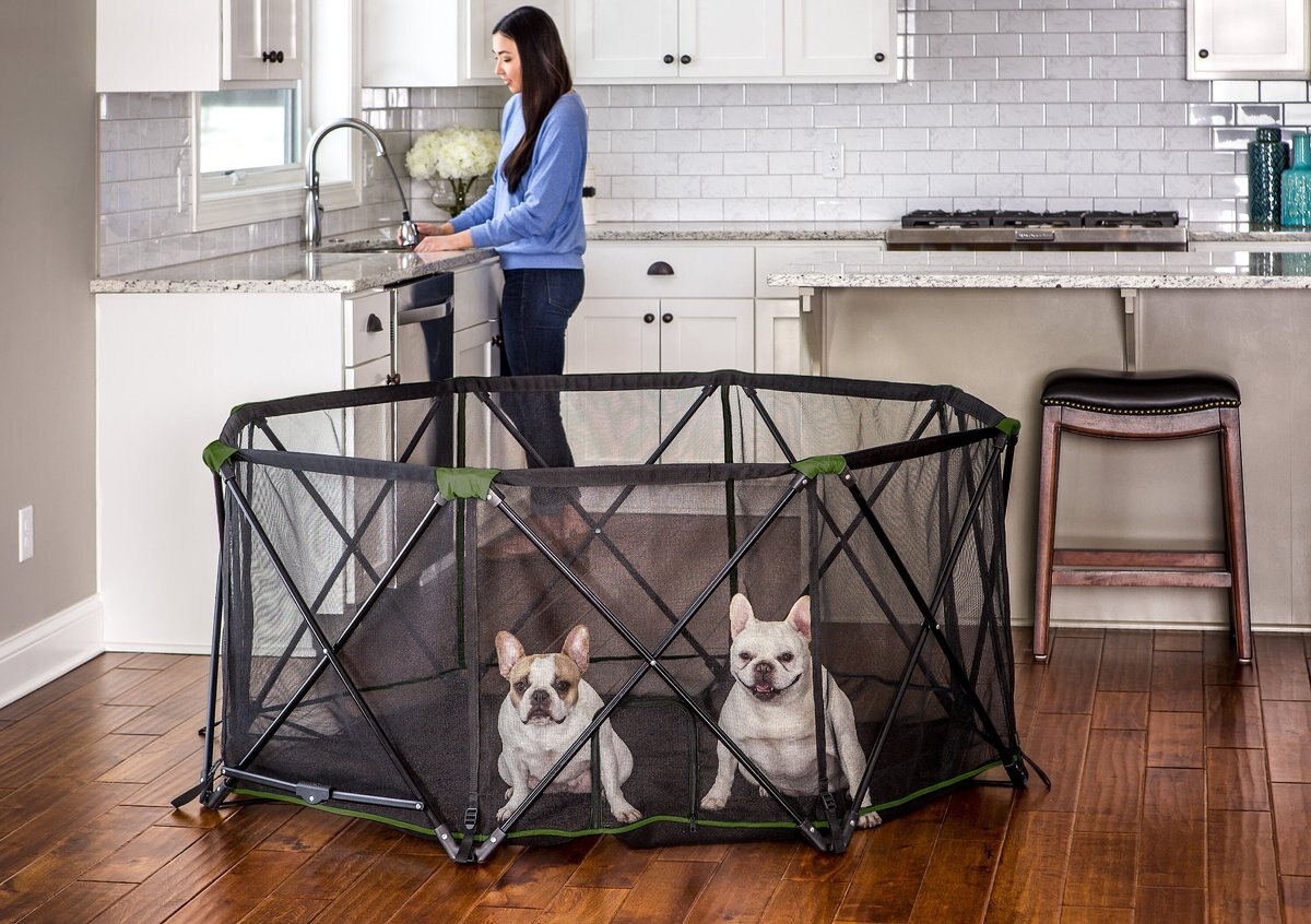 Carlson Pet Products Eight Panel Portable Deluxe Dog Pen， Green， Large