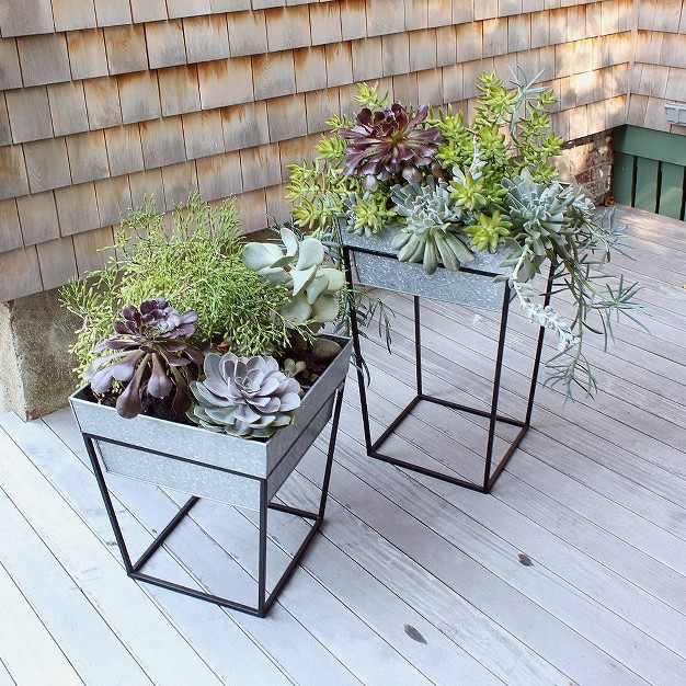 Large Indoor Outdoor Iron Arne Plant Stand With Deep Galvanized Steel Tray Black Achla Designs