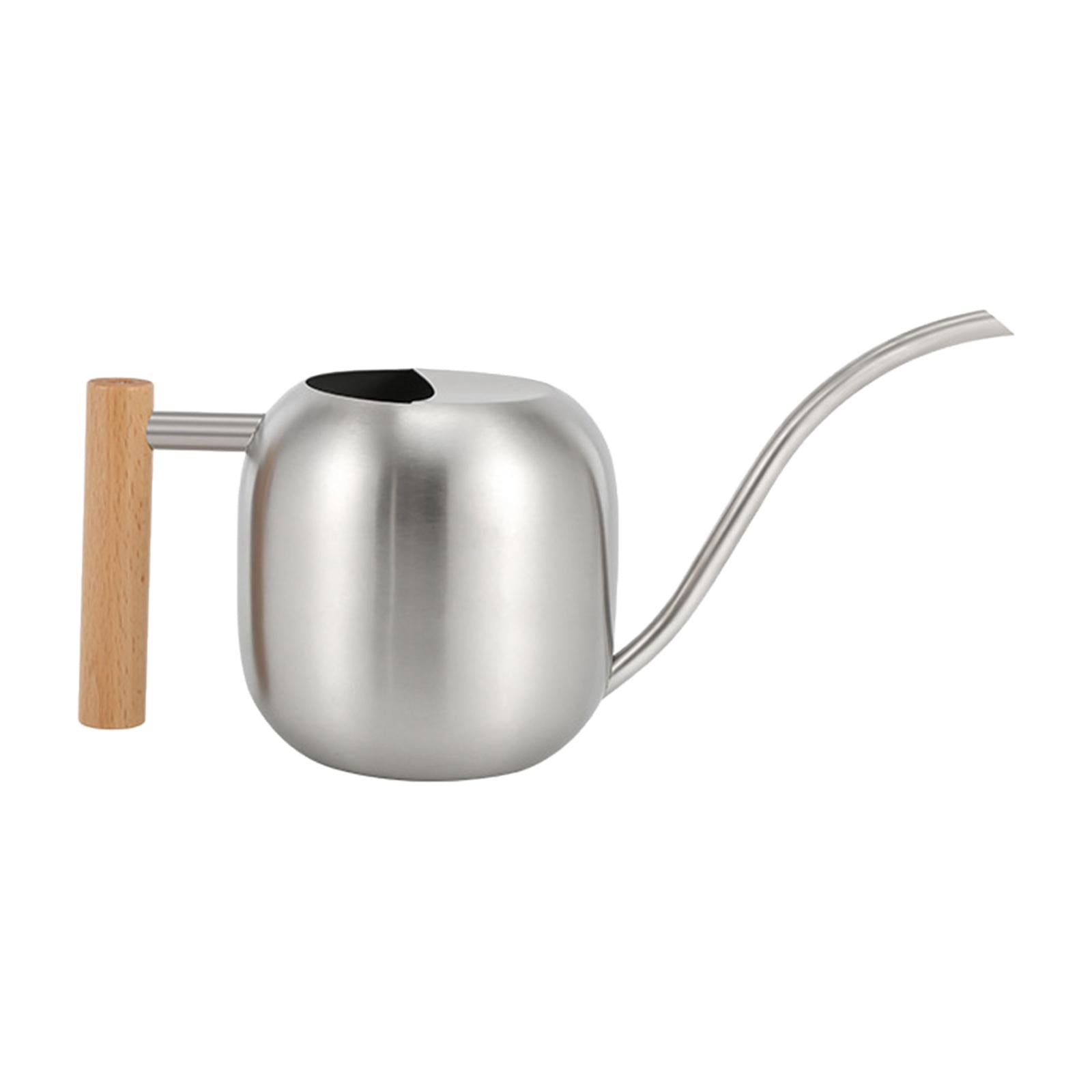 Stainless Steel Indoor Watering Can ,Modern Watering Can Pot, Wooden Handle Long Spout Watering Can for Patio, Flower ,Outdoor Decorative