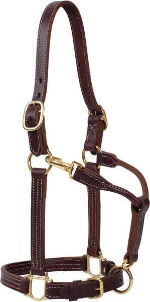 Weaver Leather Oiled Canyon Rose Track Horse Halter