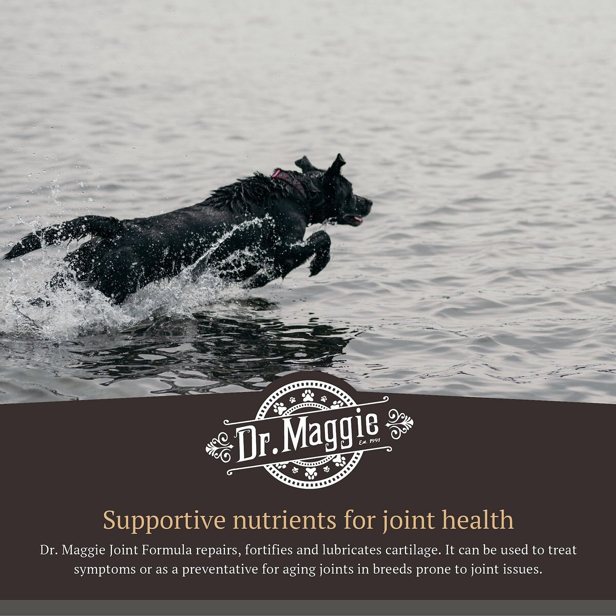 Dr. Maggie Joint Formula Pet Supplement