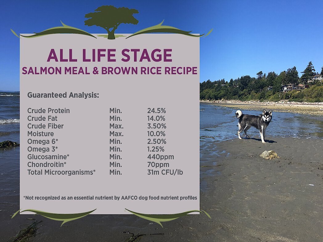 Blackwood Salmon Meal and Brown Rice Recipe Sensitive Skin and Stomach Formula Dry Dog Food