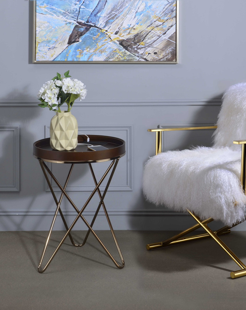 ACME Crary Side Table With USB Dock  Champagne   Midcentury   Side Tables And End Tables   by HedgeApple  Houzz