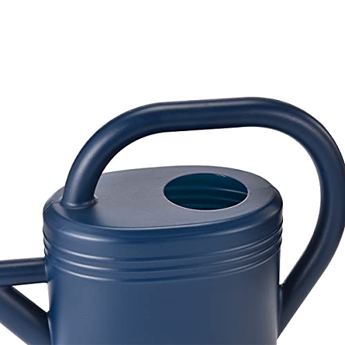 NERUB Watering Can 1 Gallon for Indoor Plants, Garden Watering Cans Outdoor Plant House Flower, Gallon Watering Can Large Long Spout with Sprinkler Head (Blue)