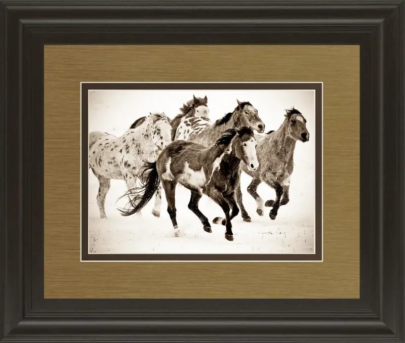 Painted Horses Framed Wall Art