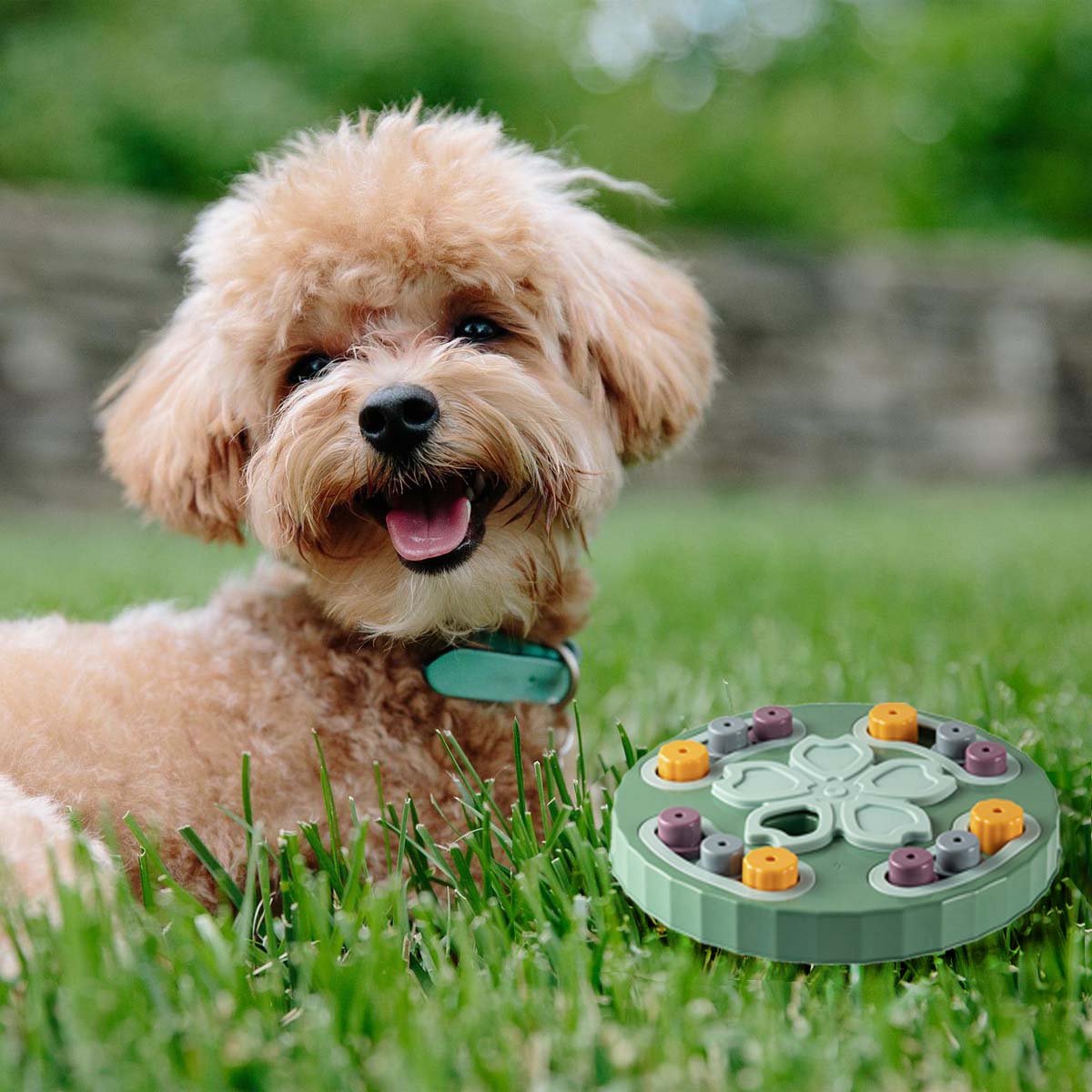 Dog Toy Dog Puzzle Toys Pet Intelligence Slow Food Toys Snack Dispenser for Smart Dog Fun Feeding