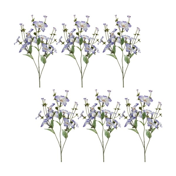 Morning Glory Spray (Set of 6)