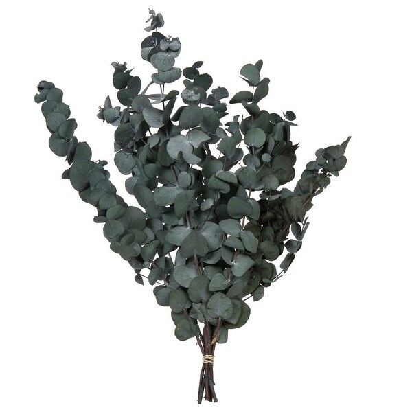 Vickerman Natural Botanicals 1820 x 9 Eucalyptus Spiral，Green，100 grams per bunch