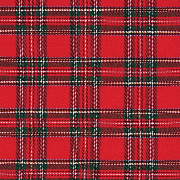 C amp f Home Arlington Plaid Cotton Woven Placemat Set Of 6