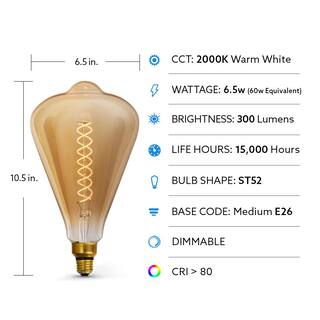 Feit Electric 60-Watt Equivalent ST52 Dimmable Spiral Filament Oversized Amber Glass E26 LED Vintage Edison Light Bulb Warm White ST52S820LED