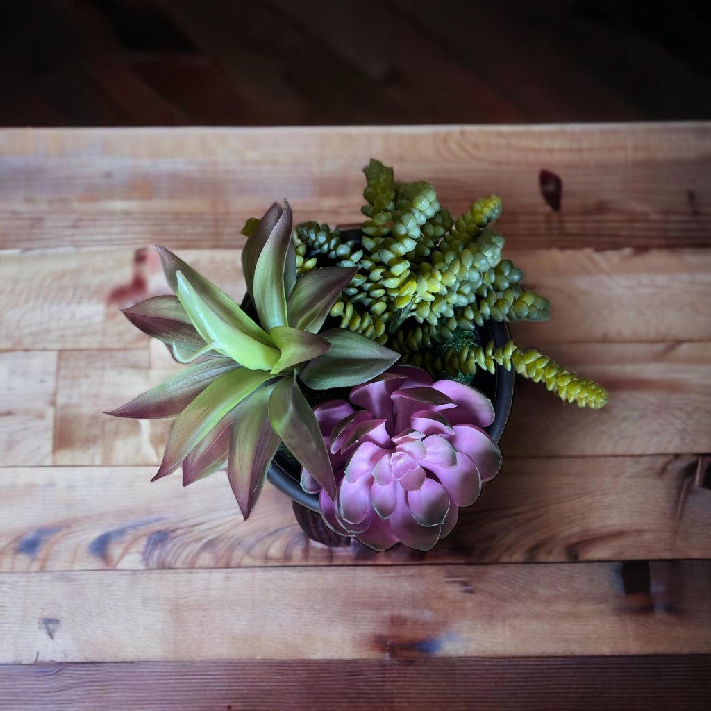 Artificial Gorgeous Succulent Plant in Plastic Pot