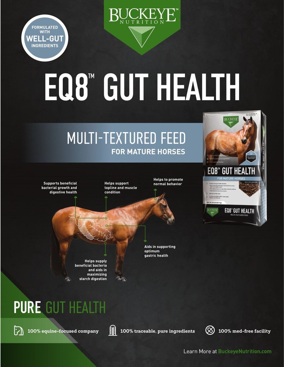 Buckeye Nutrition EQ8  Gut Health Mature Horse Feed， 50-lb bag