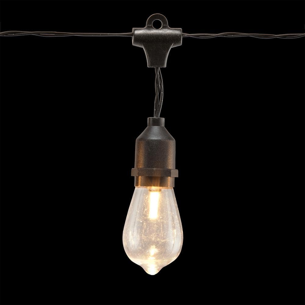 Alpine Corporation 93 in. Long 10 Edison Bulb String Lights with Timer EUT150-10-TM