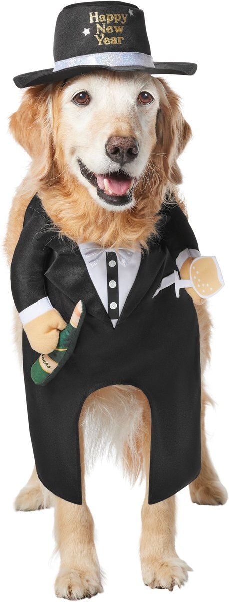 Frisco Front Walking New Years Tuxedo Dog and Cat Costume