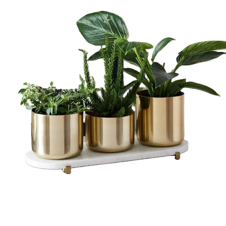 Classic Design Metal Planter Home Indoor Outdoor Garden Usage Customized Size Metal Planter Manufacture by India