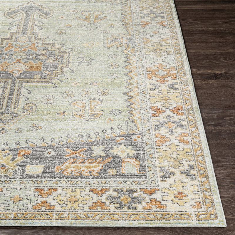 Balk Traditional Area Rug